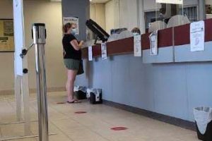 drive_test_belleville_photos-10