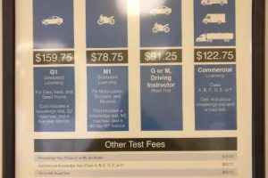 drive_test_belleville_photos-8