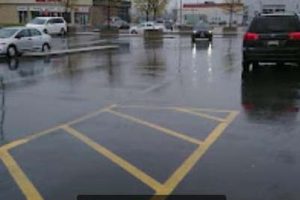 drive_test_etobicoke_photos-8